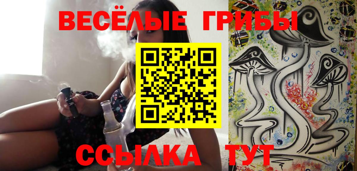 Черняховск  Псилоцибиновые грибы Cubensis  купить закладку  Вход с VPN 