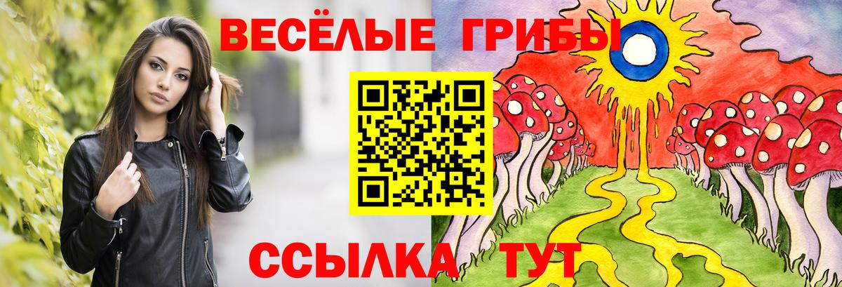 Псилоцибиновые грибы Psilocybe Черняховск